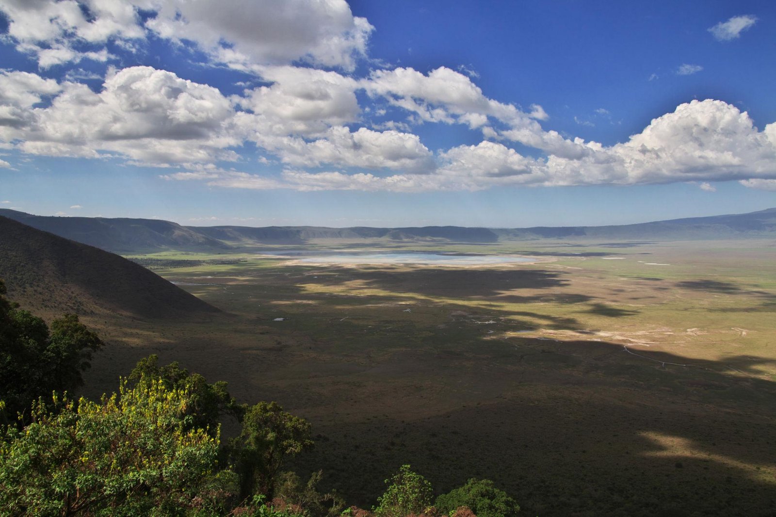 2 Days Tarangire & Ngorongoro Crater Safari