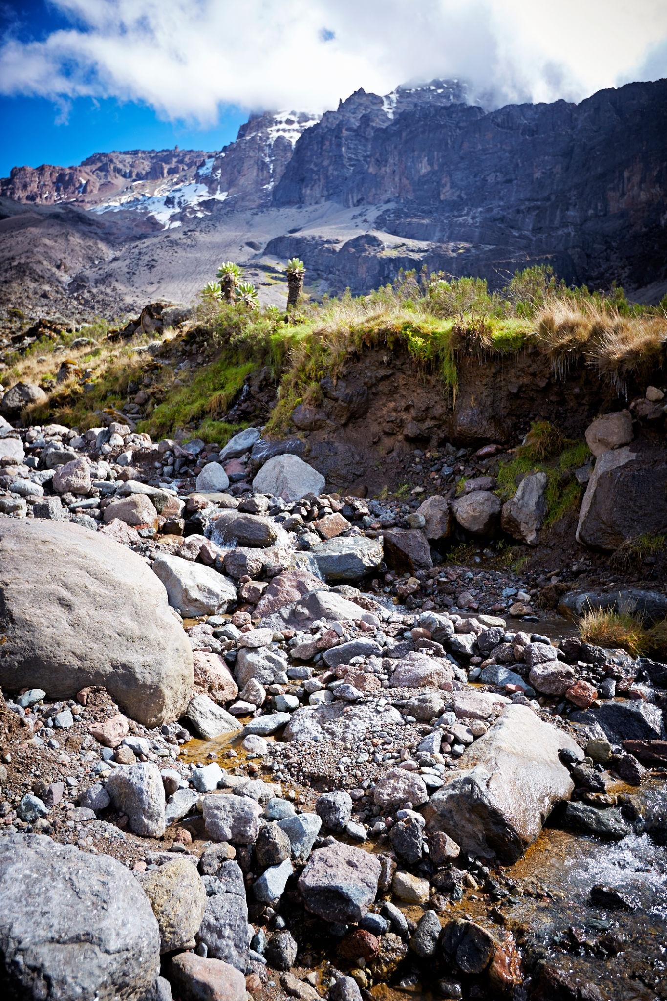 7 Days Mount Kilimanjaro Climb – Lemosho Route