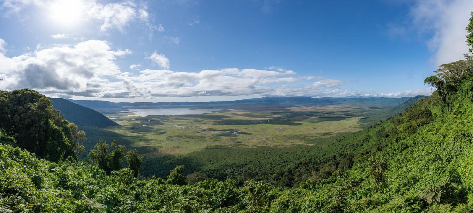 2 Days Tarangire & Ngorongoro Crater Safari