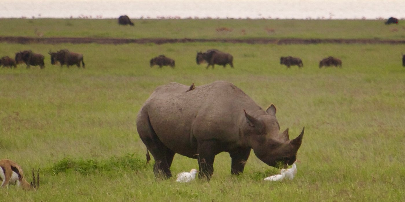 6 Days Tanzania Budget Camping Safari