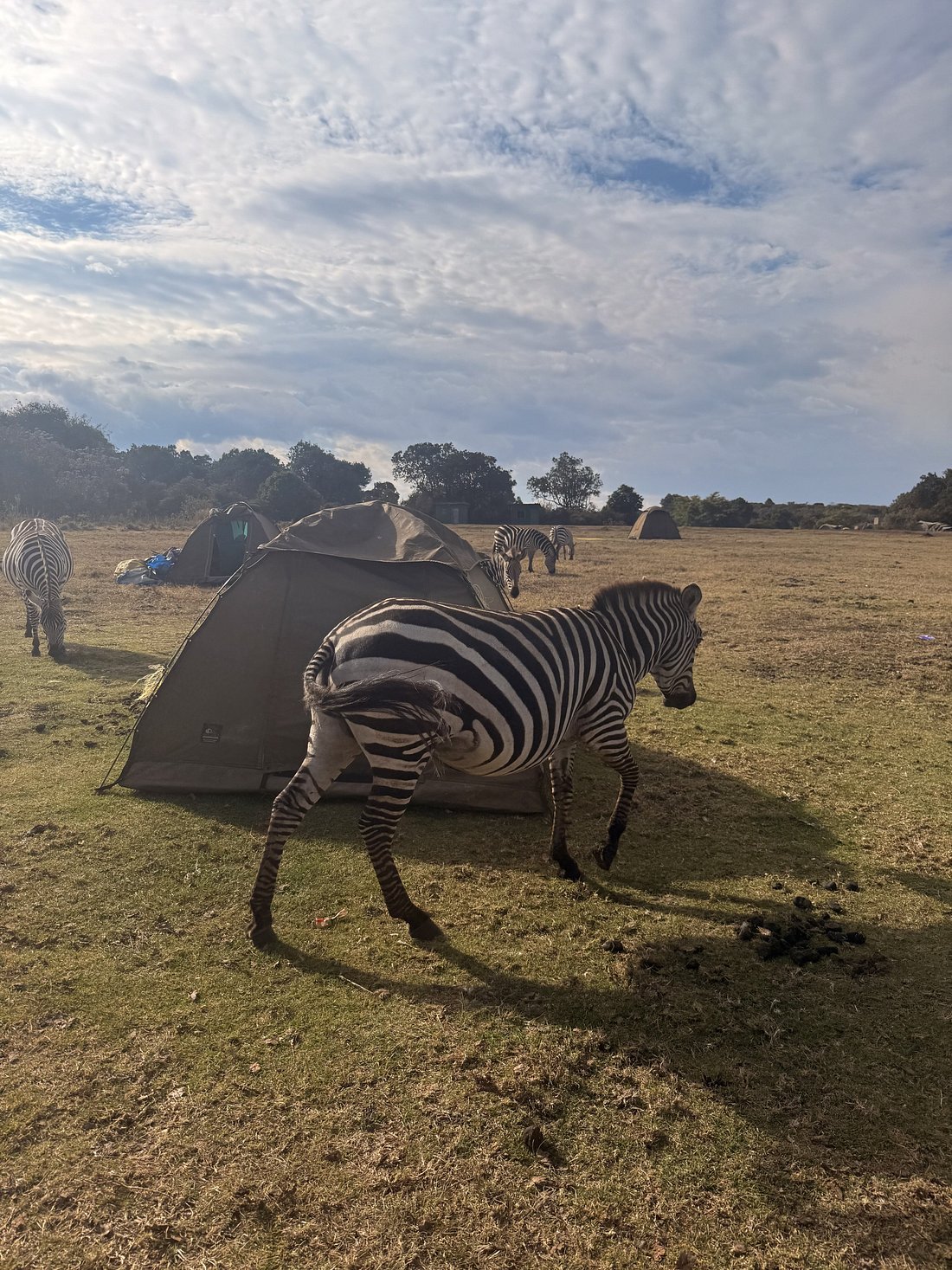 6 Days Tanzania Budget Camping Safari