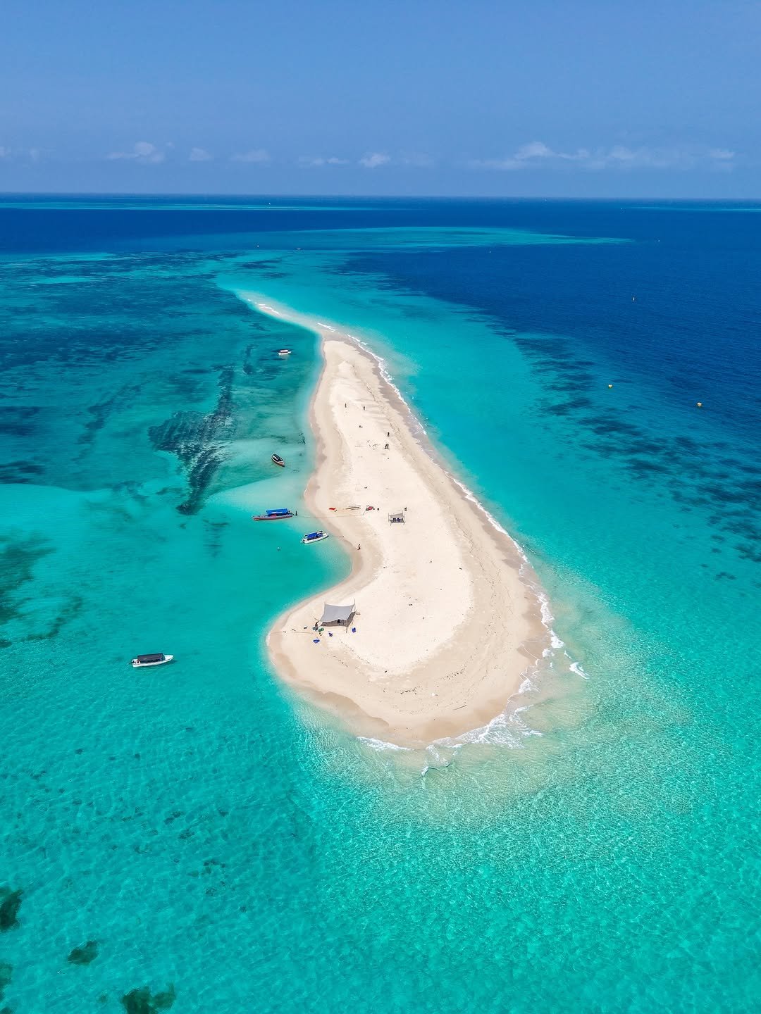 Mnemba Island Snorkeling & Dolphin Tour