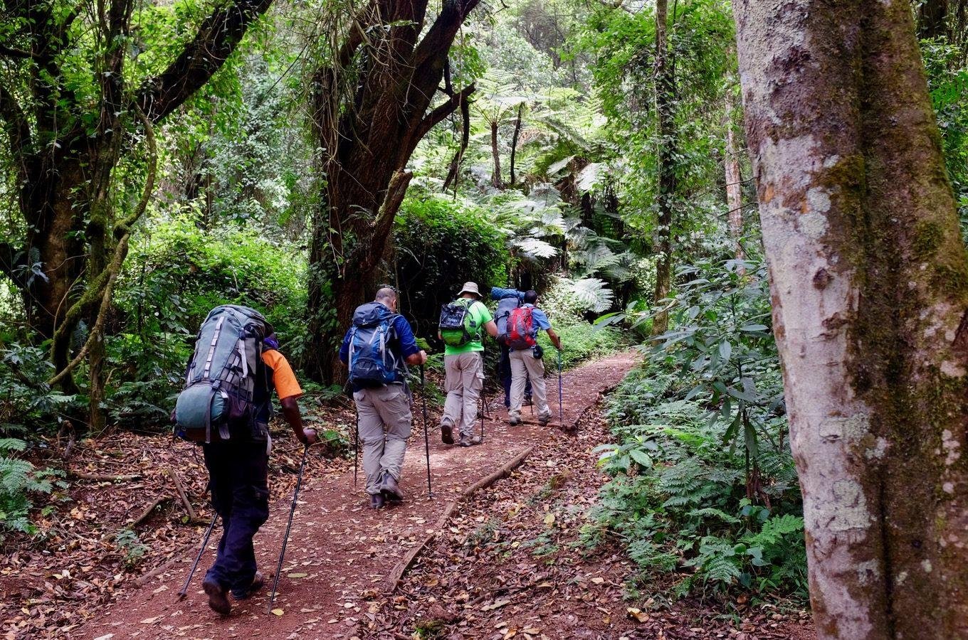 7 Days Mount Kilimanjaro Climb – Lemosho Route