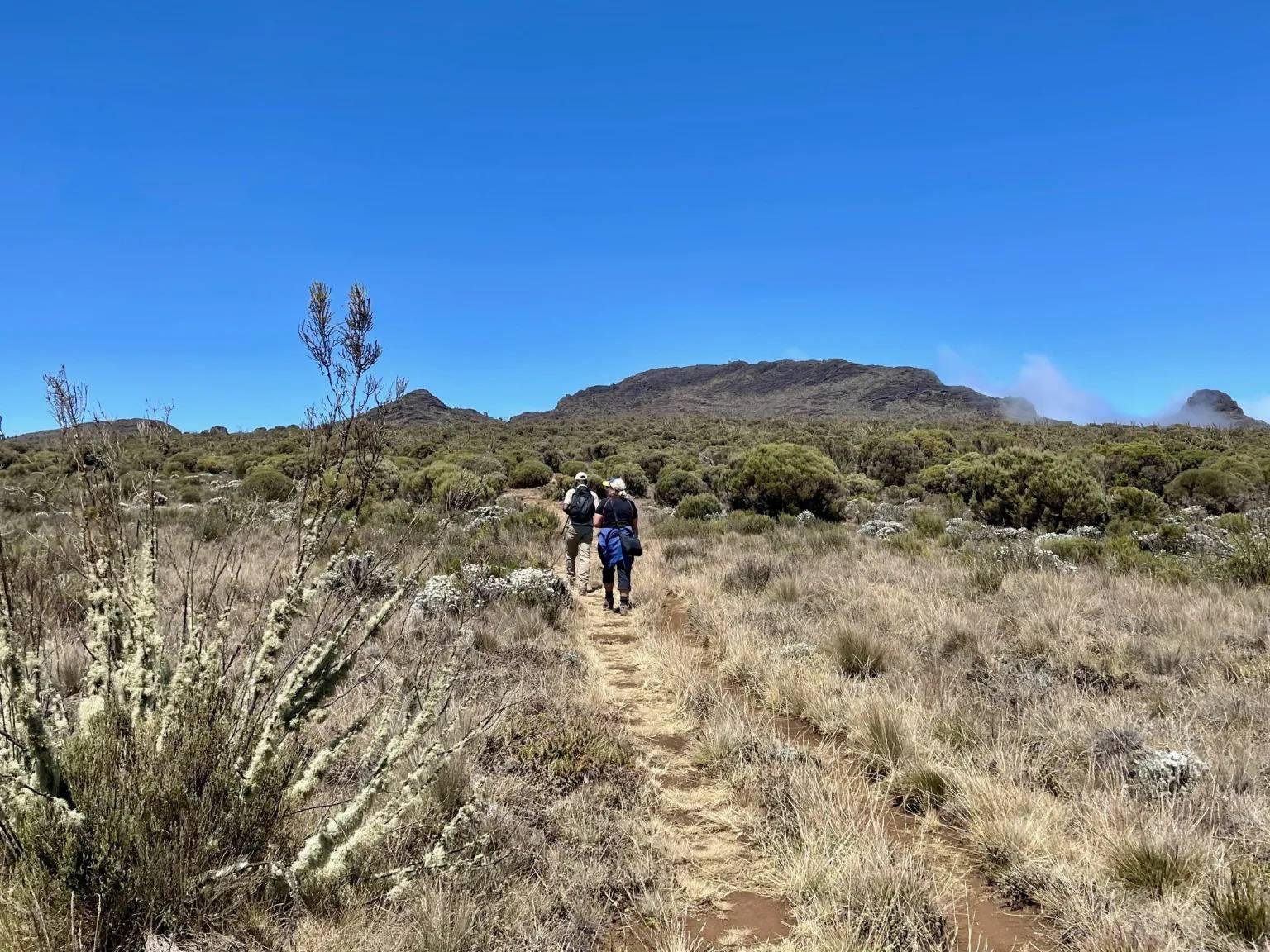 7 Days Mount Kilimanjaro Climb – Machame Route