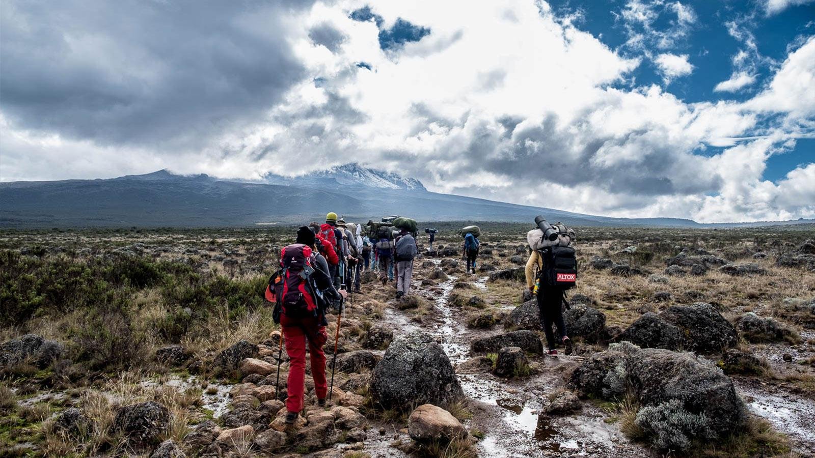 8 Days Mount Kilimanjaro Climb – Lemosho Route