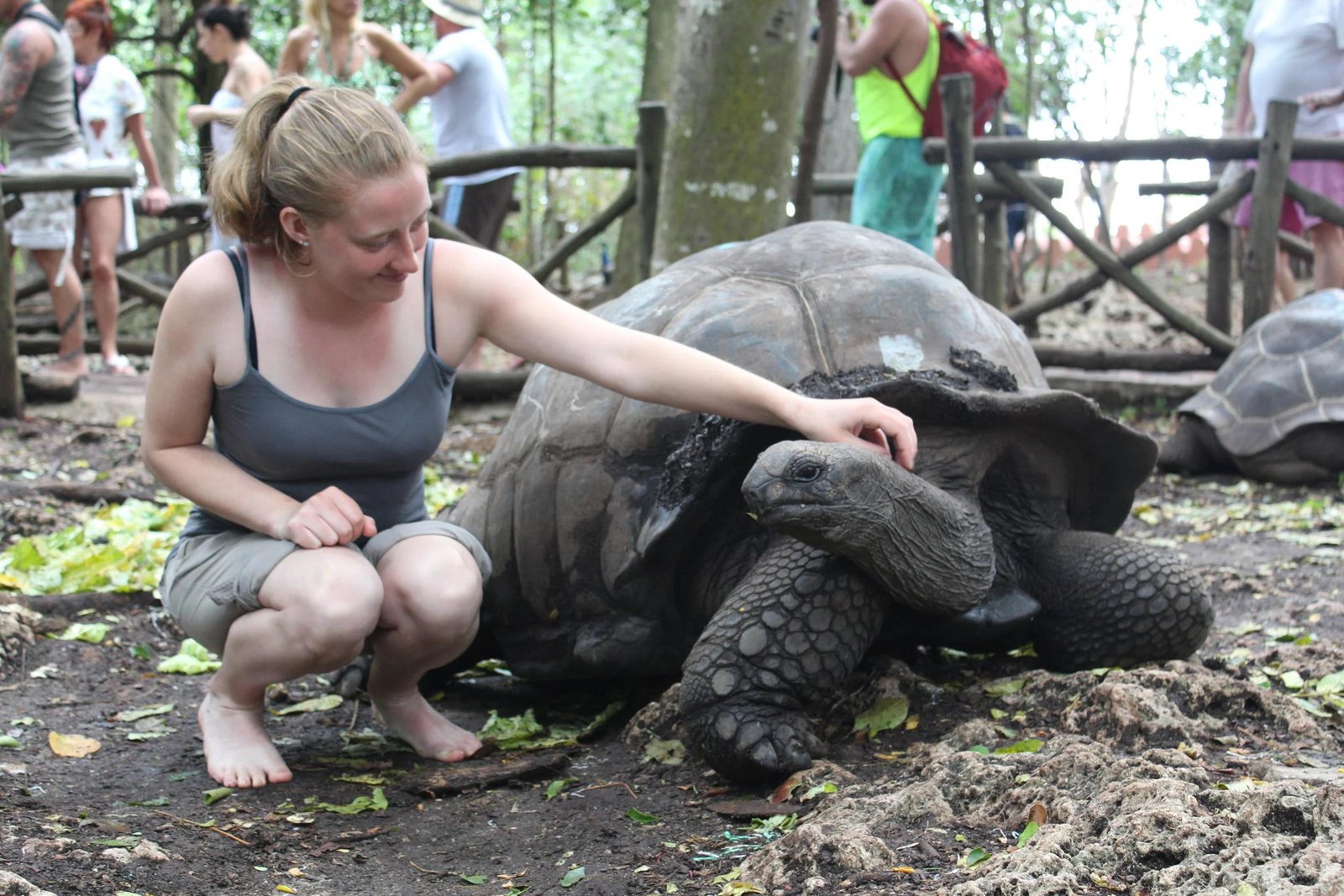 2 Days Zanzibar Island Tour 1