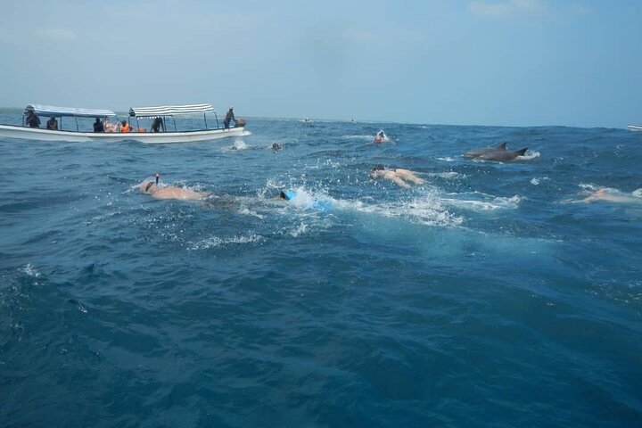 Mnemba Island Snorkeling & Dolphin Tour