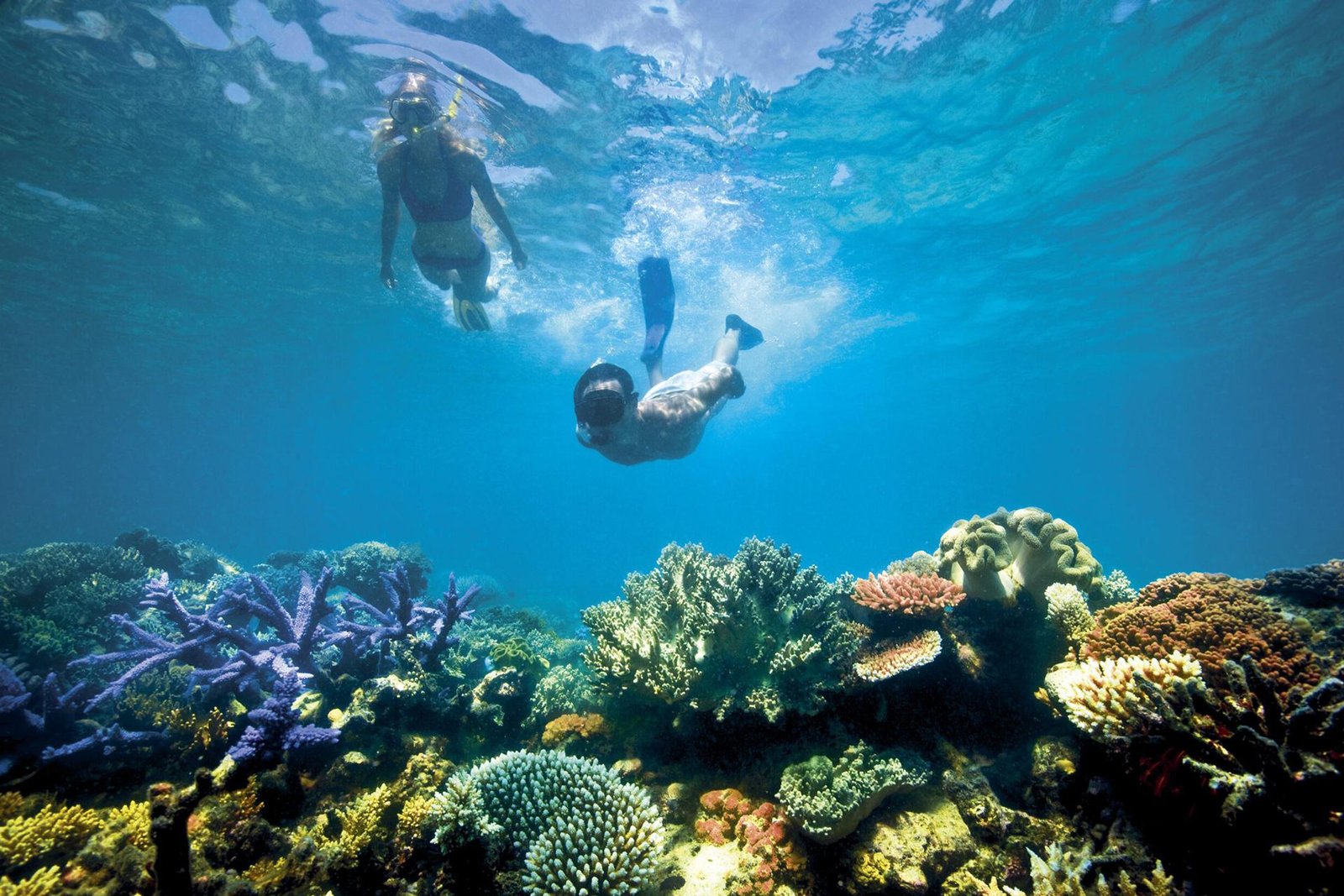 Mnemba Island Snorkeling 3